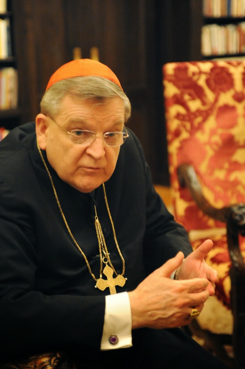EXCLUSIF : Un entretien inédit avec le Cardinal Burke à propos de la Famille, du Mariage et du Synod Dsc_0615