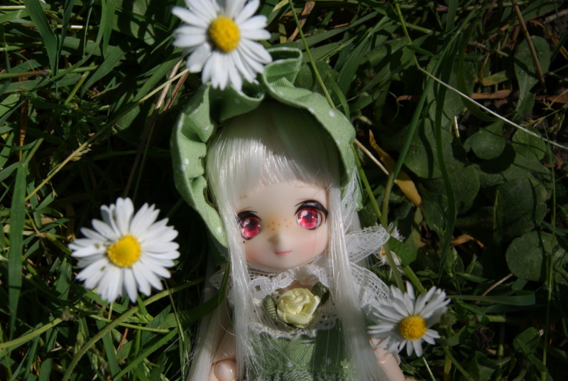 [Parabox & Dollce] tiny anime dolls ♥ - Page 2 49945210