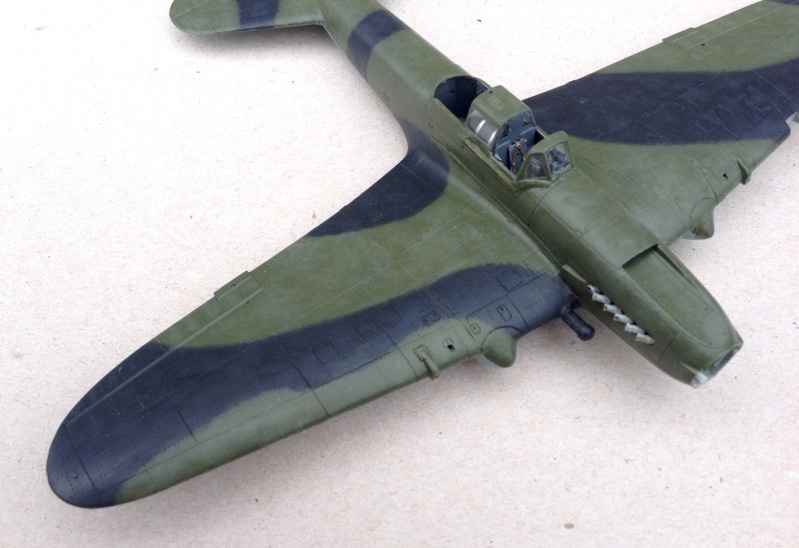 Il-2 Shturmovik Biplace à Aile Droite (1/72) (fin 1942/début 1943) [Academy] Img_4831