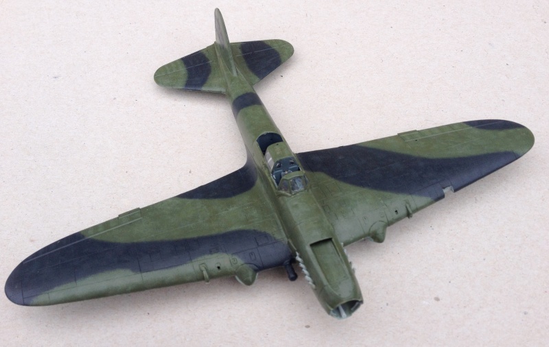 Il-2 Shturmovik Biplace à Aile Droite (1/72) (fin 1942/début 1943) [Academy] Img_4833