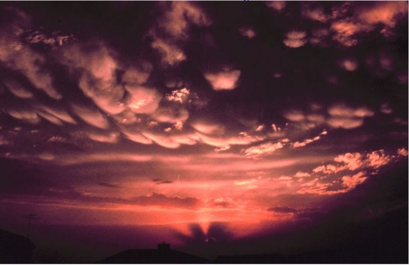 Les nuages mammatus Nuag310