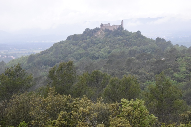 Forcalqueiret (83) - Le tour du Castellat Dsc_0070