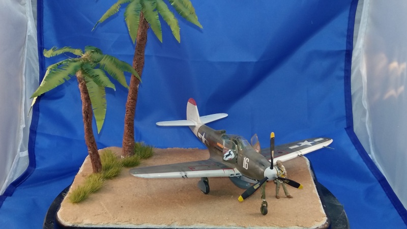 P-39 N Nouvelle Guinée 1944 20160414