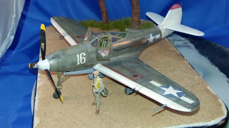 P-39 N Nouvelle Guinée 1944 20160424