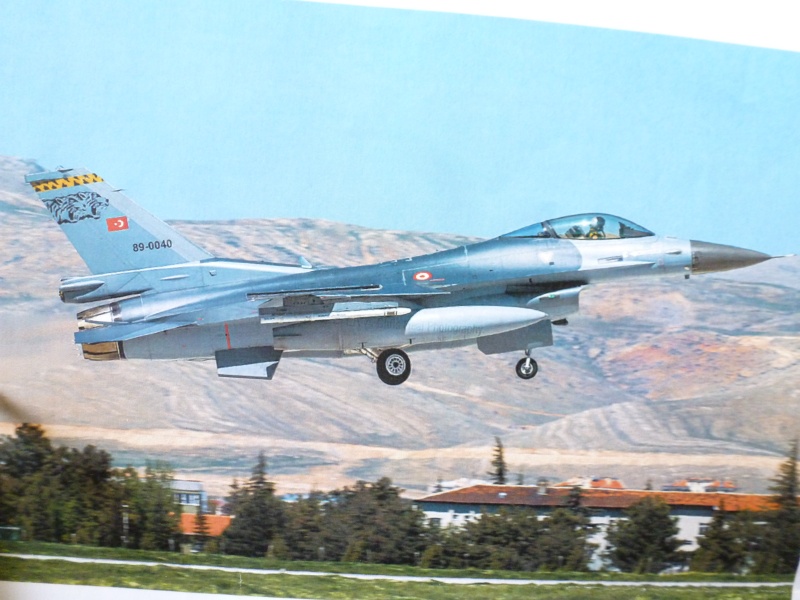  F 16 C  Fighting Falcon block  50  Turquie  Tamiya  1/72 P1070632