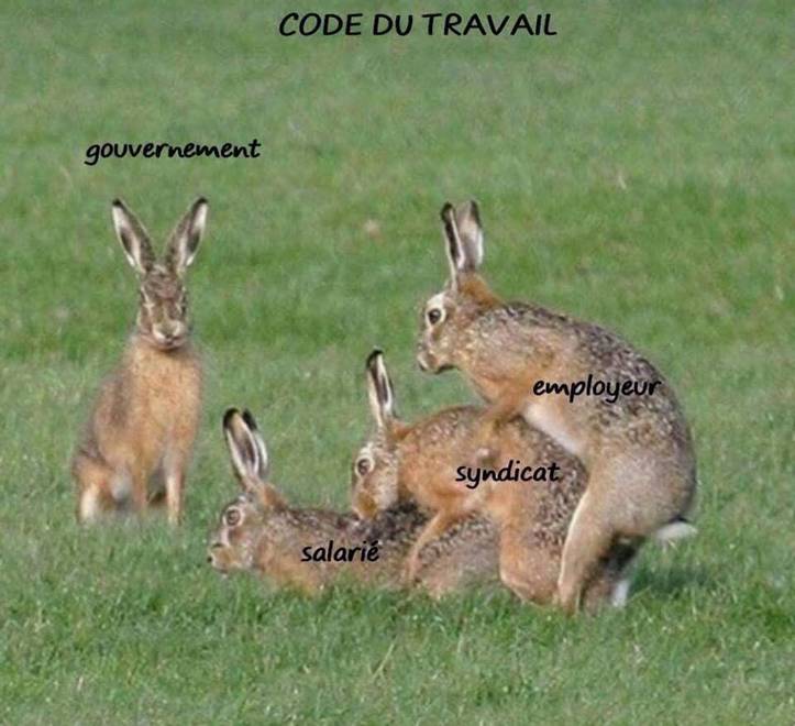 humour - Page 15 Code_d10