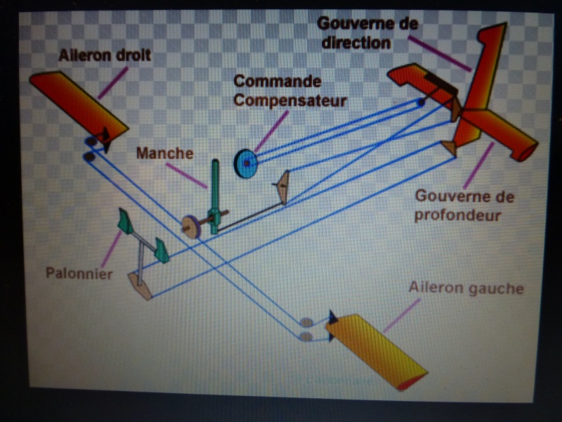 Pour m'envoyer en l'air, un bel oiseau biplan ! - Page 23 P1100211