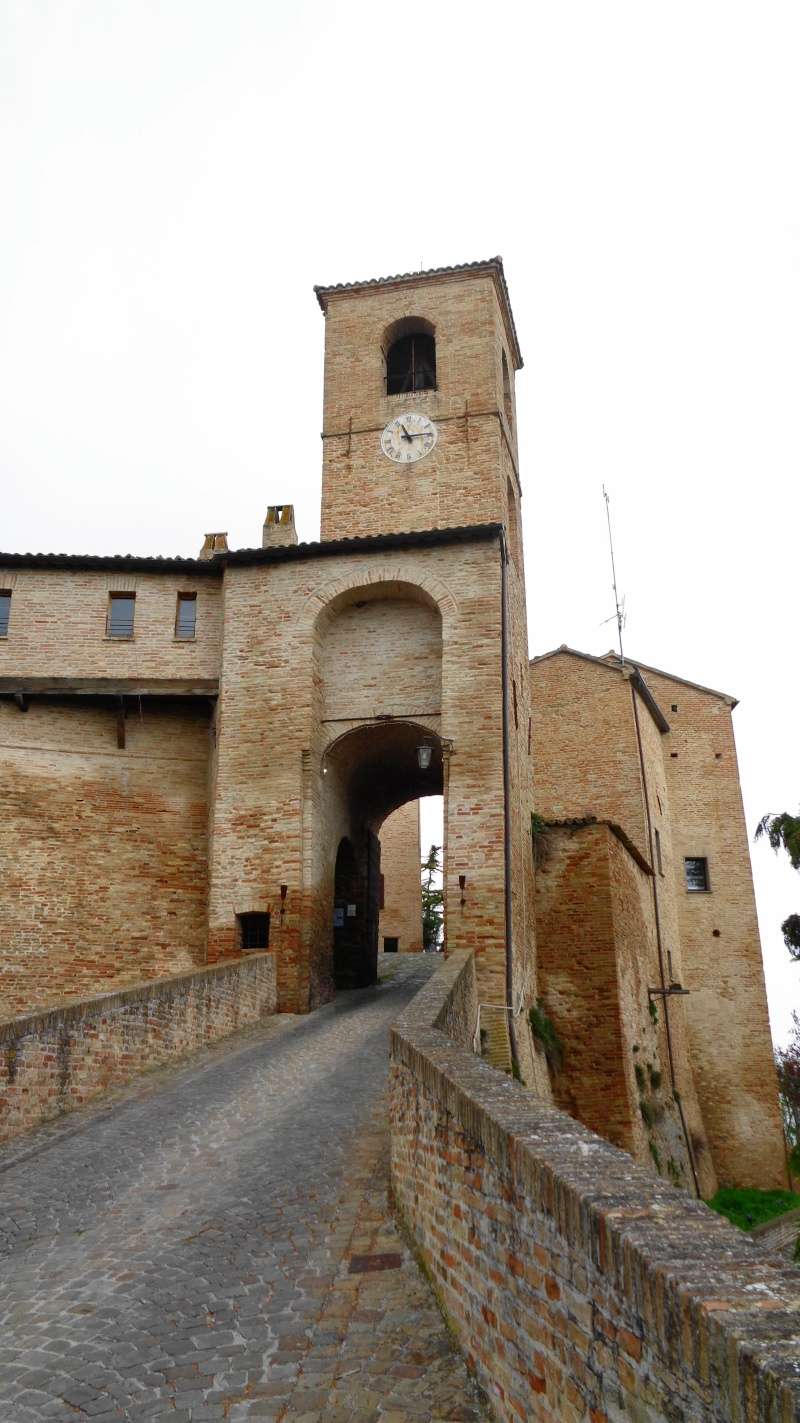 Castello di Montegridolfo e Fiorenzuola di Focara Dsc01521