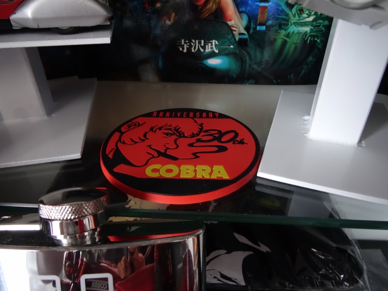 Collection n°326 : boogeyman Dsc00912