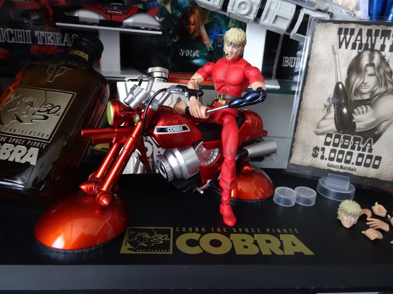 Collection n°326 : boogeyman Dsc00916
