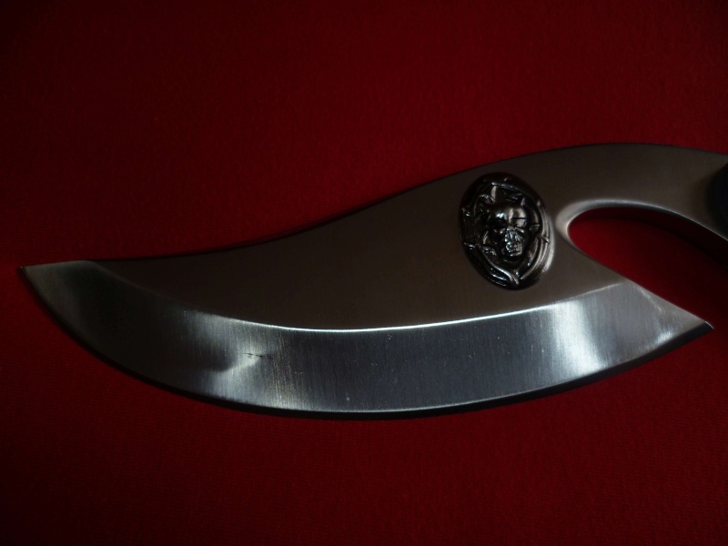 Collection n°326 : boogeyman P1070412