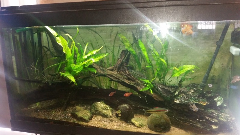 Vend aquarium 375l 20160411