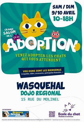 9 10 Avril 2016 - Salon d'Adoption au Dojo de Wasquehal - Page 2 Dojo210