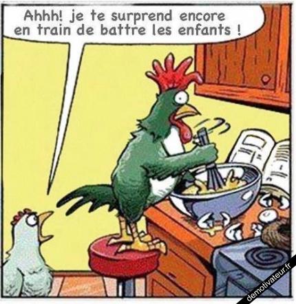 Les oeufs , vous les préférez comment ? Poule10