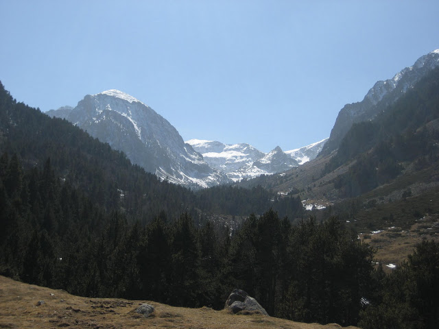 les trois dernières 13689610