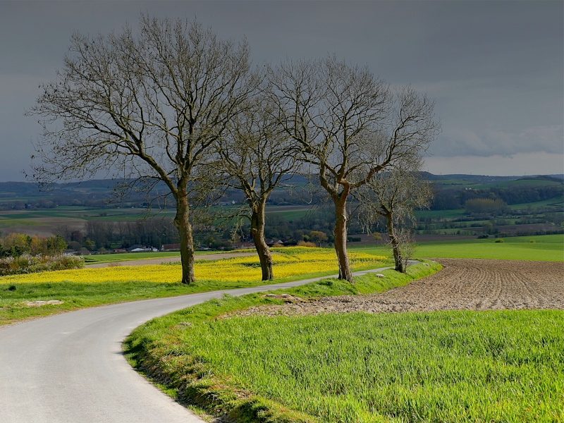 POTD LUMIX du 25 avril 2016     P1050716