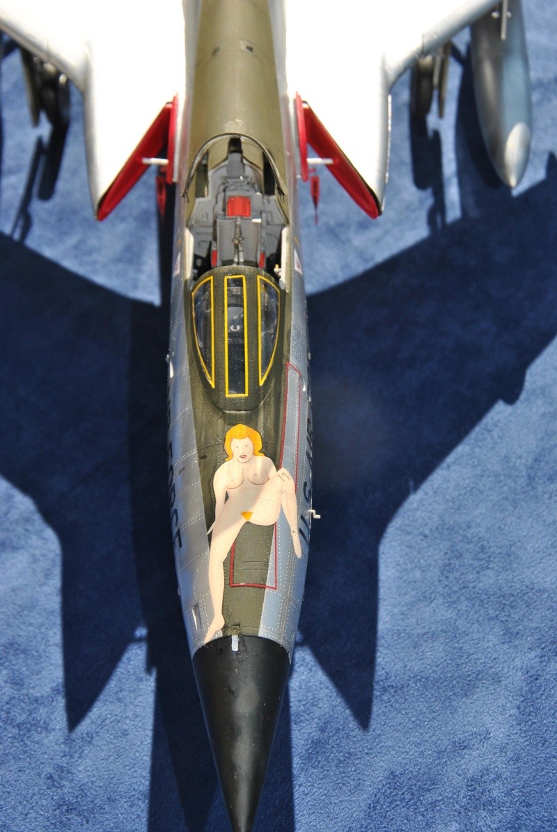 [TRUMPETER] Republic F-105D Thunderchief  1/32 Dsc_1829