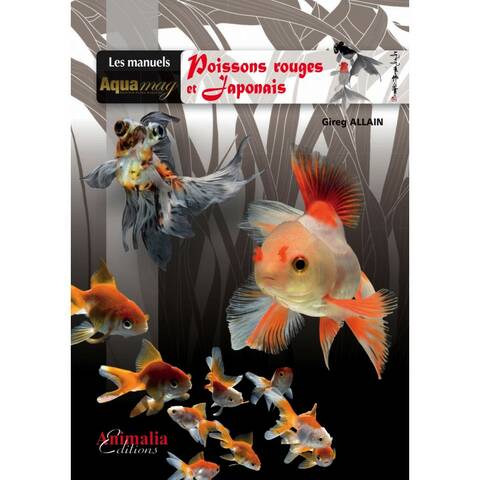 Tableau Japonais Poisson Rouge