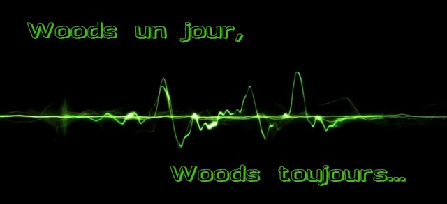 [ Blog-random/legacy] Woods un jour, Woods toujours...(abandonnée) 18302_11