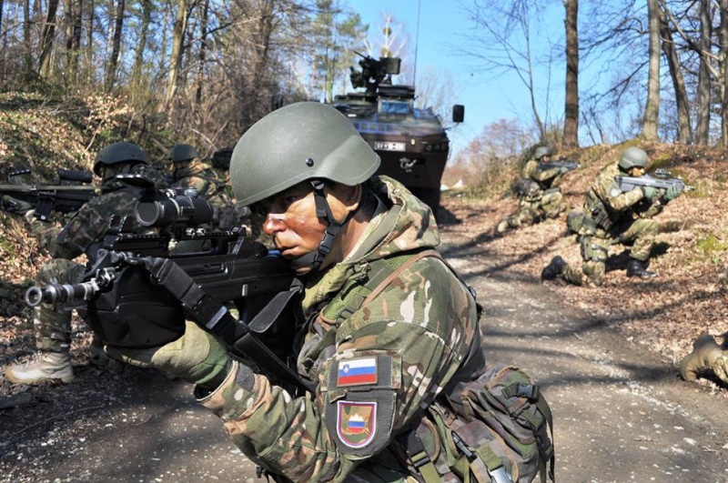 Slovenian Armed Forces / Slovenska vojska - Page 2 2860