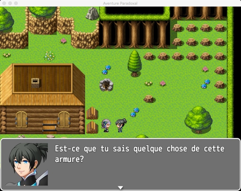 Aventure Paradoxale Screen14