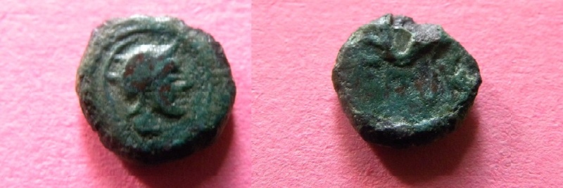 Bronze des Nédènes de l'oppidum de Montlaures (Languedoc) 1_monn10