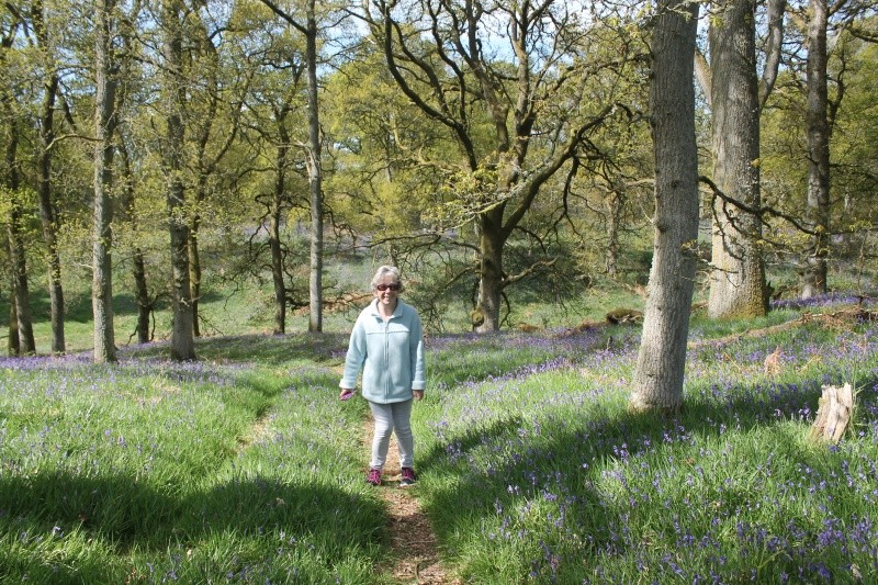 Bluebell woods today. Img_0914