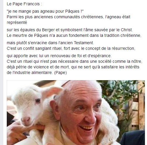 vive le pape Pape10