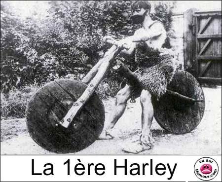 Humour en image du Forum Passion-Harley  ... - Page 11 13087810