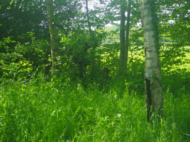 Saint hilaire sur Helpe le 21 mai 2016 Imgp0509