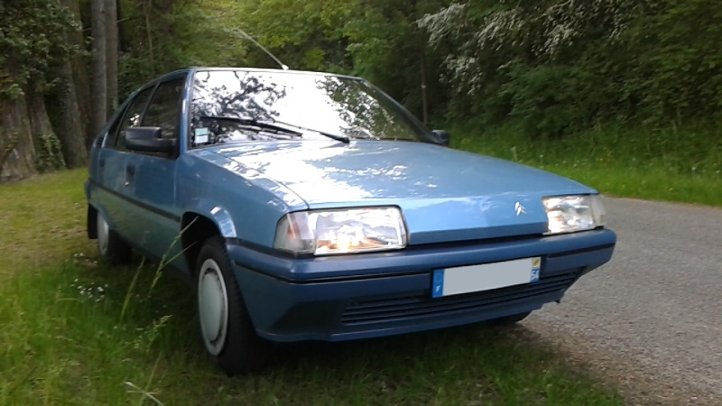 Citroën BX 14 TGE de 1989 20160157