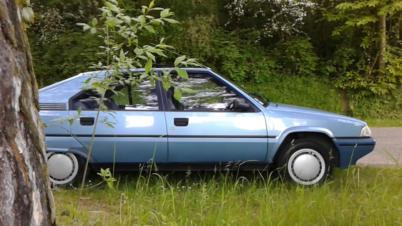 Citroën BX 14 TGE de 1989 20160158