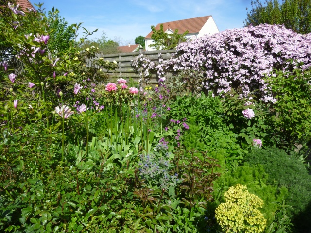 le jardin de frimousse.. - Page 7 P1140349