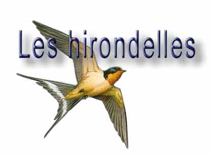 Salut les amis !!!! Dessin10
