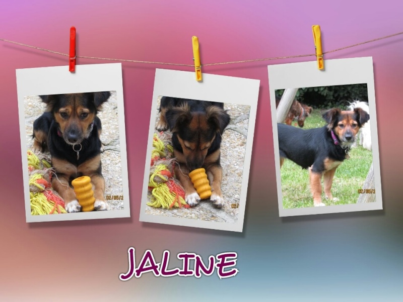 JALINE  Jaline10