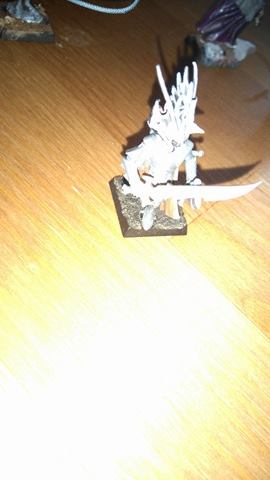 Ma bande Elfe noir Mordheim 13115410