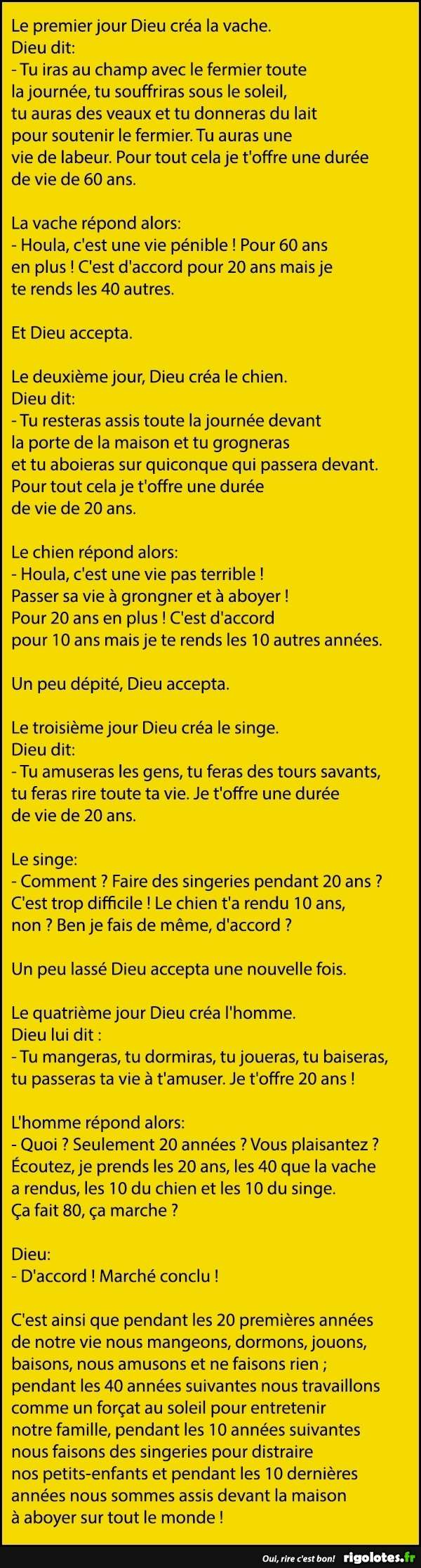 HUMOUR - blagues - Page 18 11312210