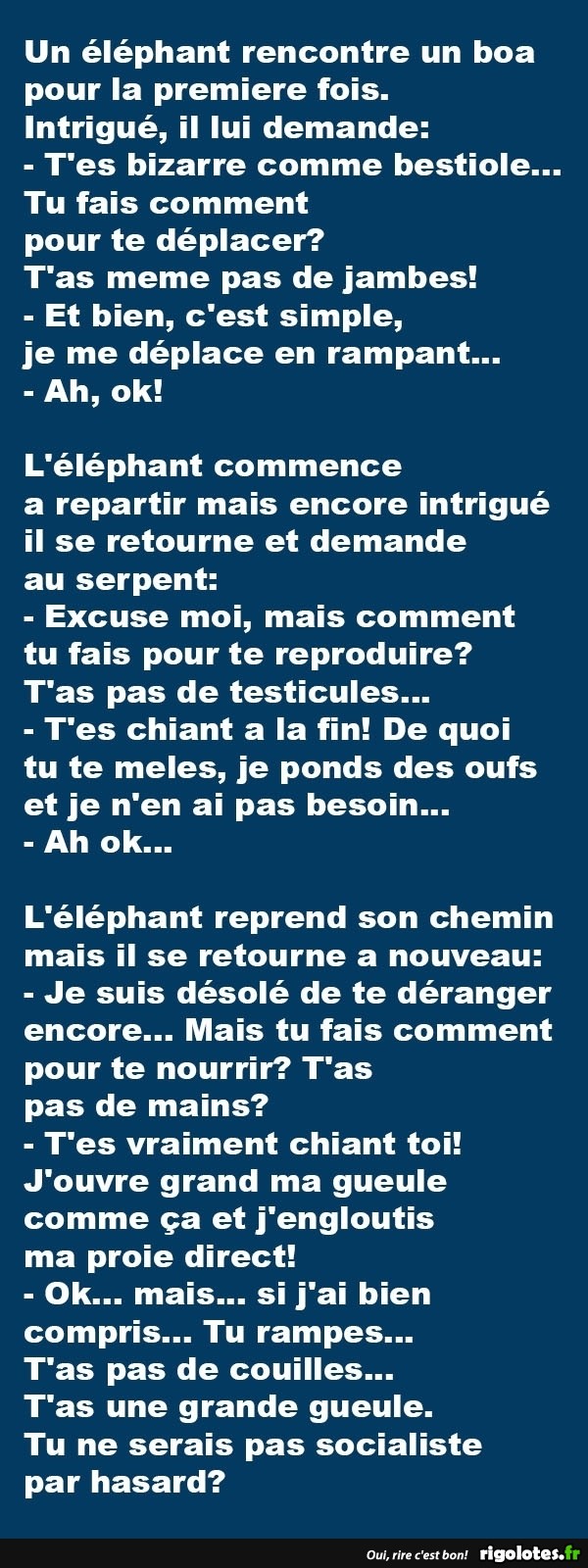 HUMOUR - blagues - Page 17 535210