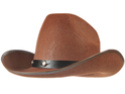 Quel chapeau les opposants devraient porter maintenant? Monyere ou bien style cowboy rancher Hat11