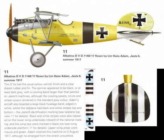 SSW D.III au 1/48 EDUARD - Page 5 Fe8d8310