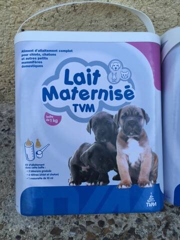 Xena Lac Identifiee 7 269 100 001 338 En Clinique A Tunis Xena Lac Identifiee 7 269 100 001 338 En Clinique A Tunis