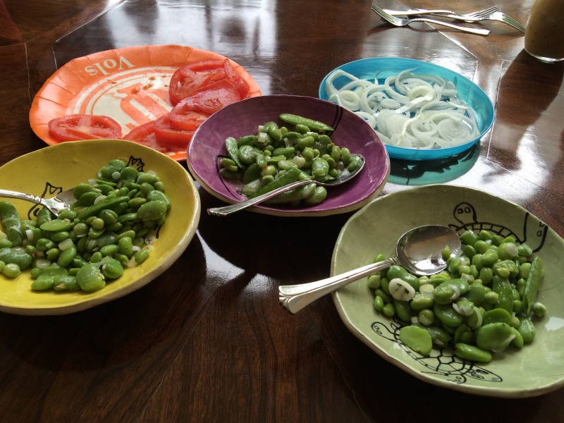 eggplant - What are you eating from your garden today? - Page 20 Fava_b14