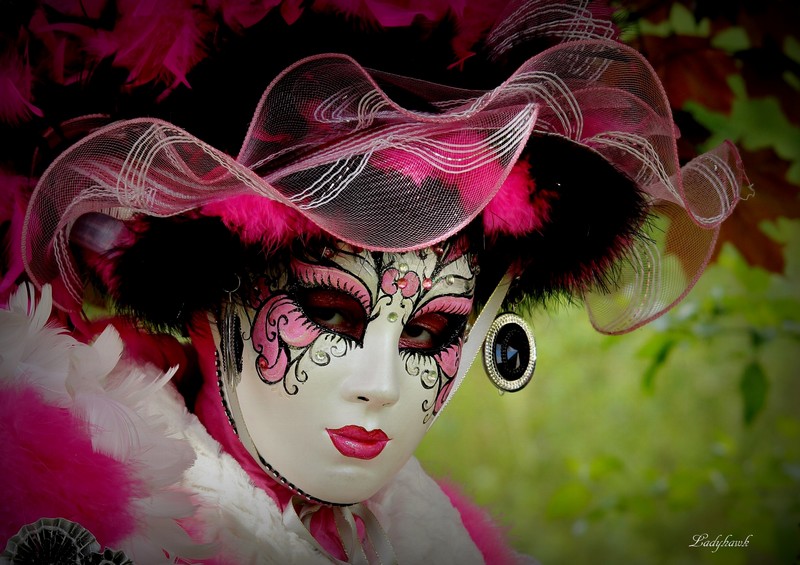 carnaval (+ d autres) Img_2310
