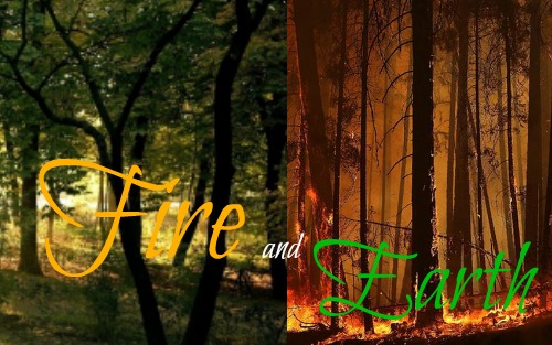 We are like Earth and Fire... Fire_a10