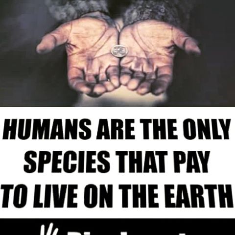 البشر هم الجنس الوحيد الذي يدفعون المال من اجل ان يعيشوا في الارض 13346610