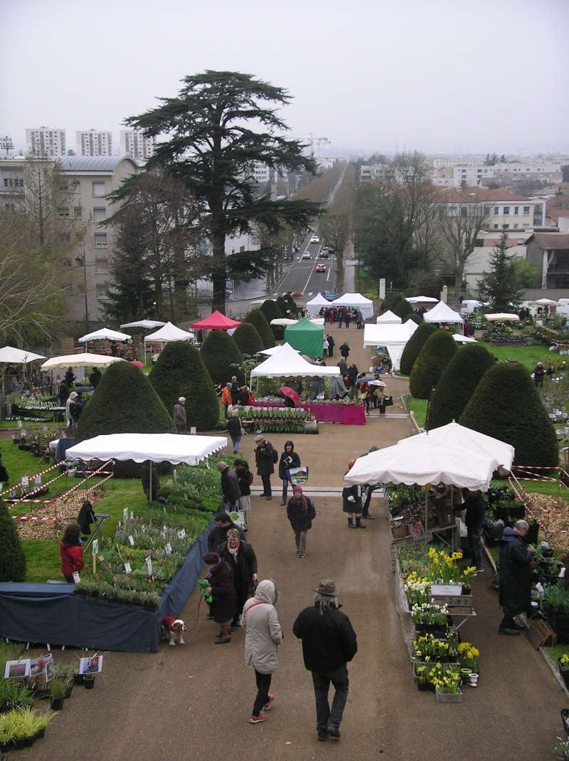 Foire aux plantes a Saint Priest  Imgp0030