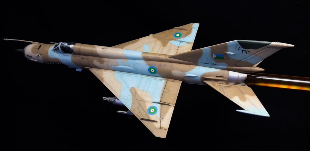 Mig 21 MF  "Djibouti air force" 1/32 210