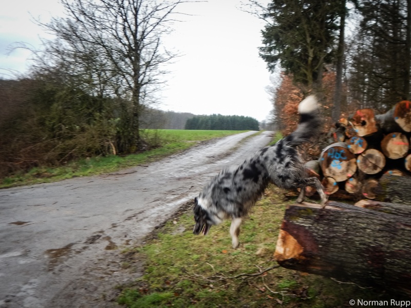 05.04.2016 - Was ein Tag - Speedtour mit Theo! Mtb-er11