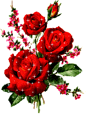 Ospiti - Pagina 12 Rose_r17