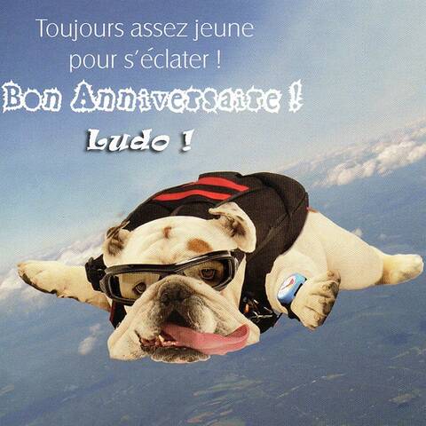 Bon Anniversaire Ludo Bandit Bon Anniversaire Ludo Bandit